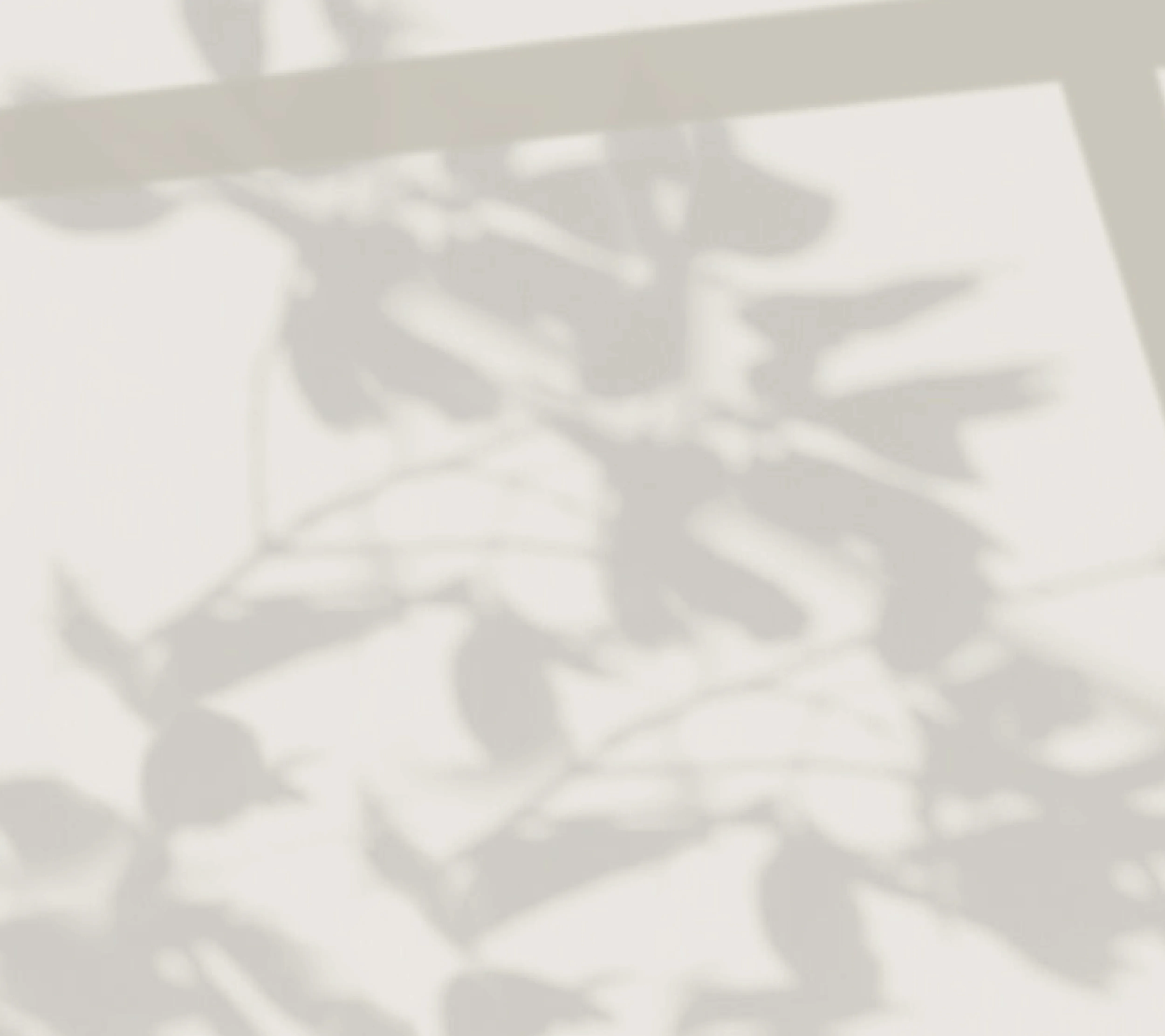 bg1