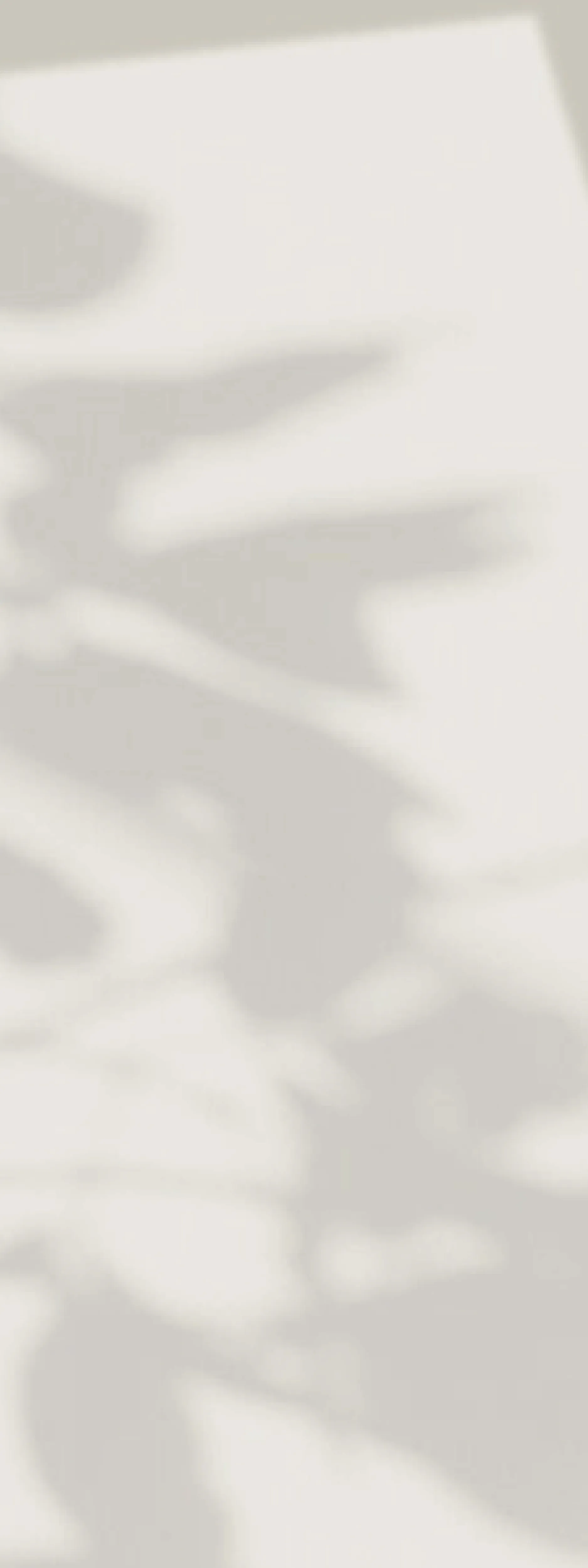 bg1