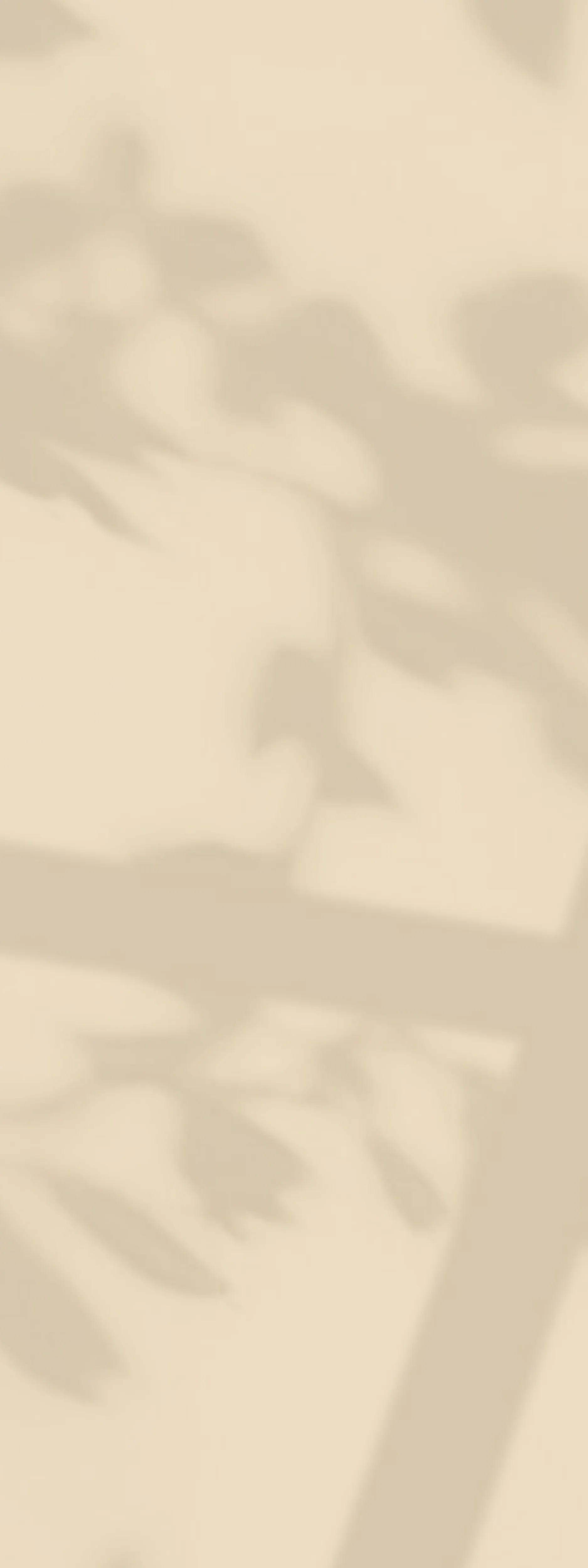 bg2