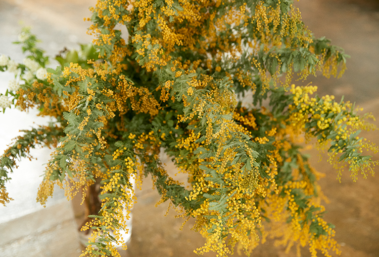 La boutique BonBon(ラブティックボンボン) 画像1