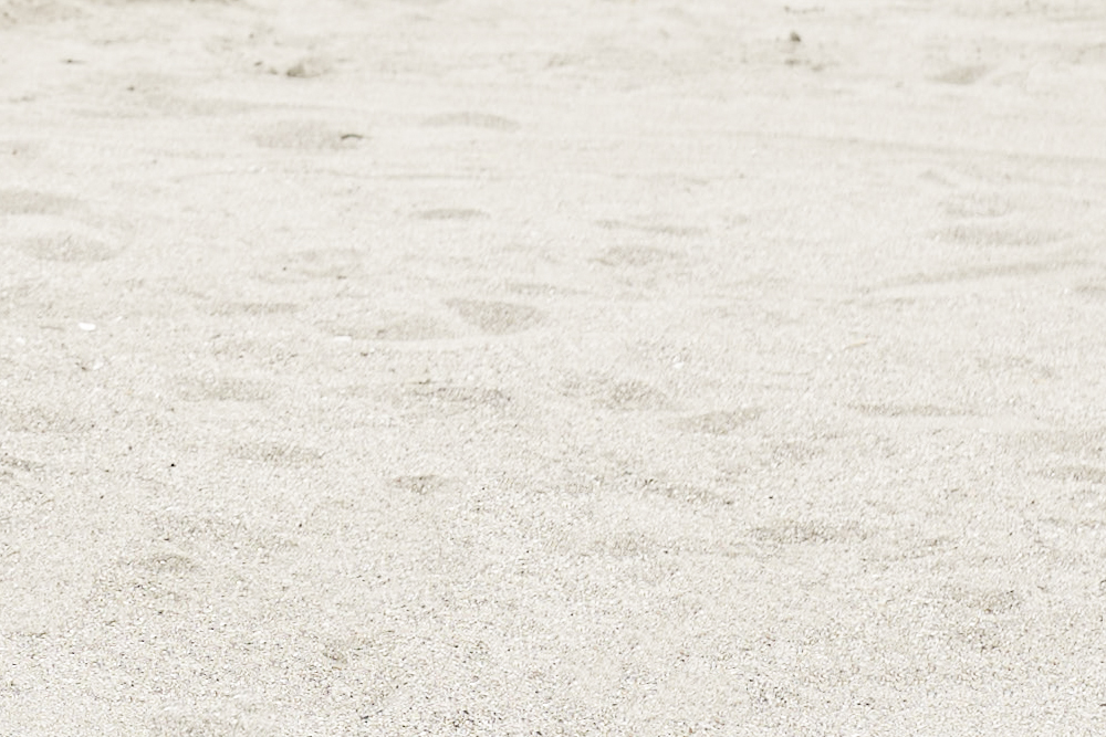 Chico READY FOR SUMMER 2022 | Chico公式通販サイト | PAL CLOSET