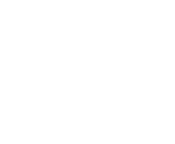COLONY 2139 2025 swimwear collection
