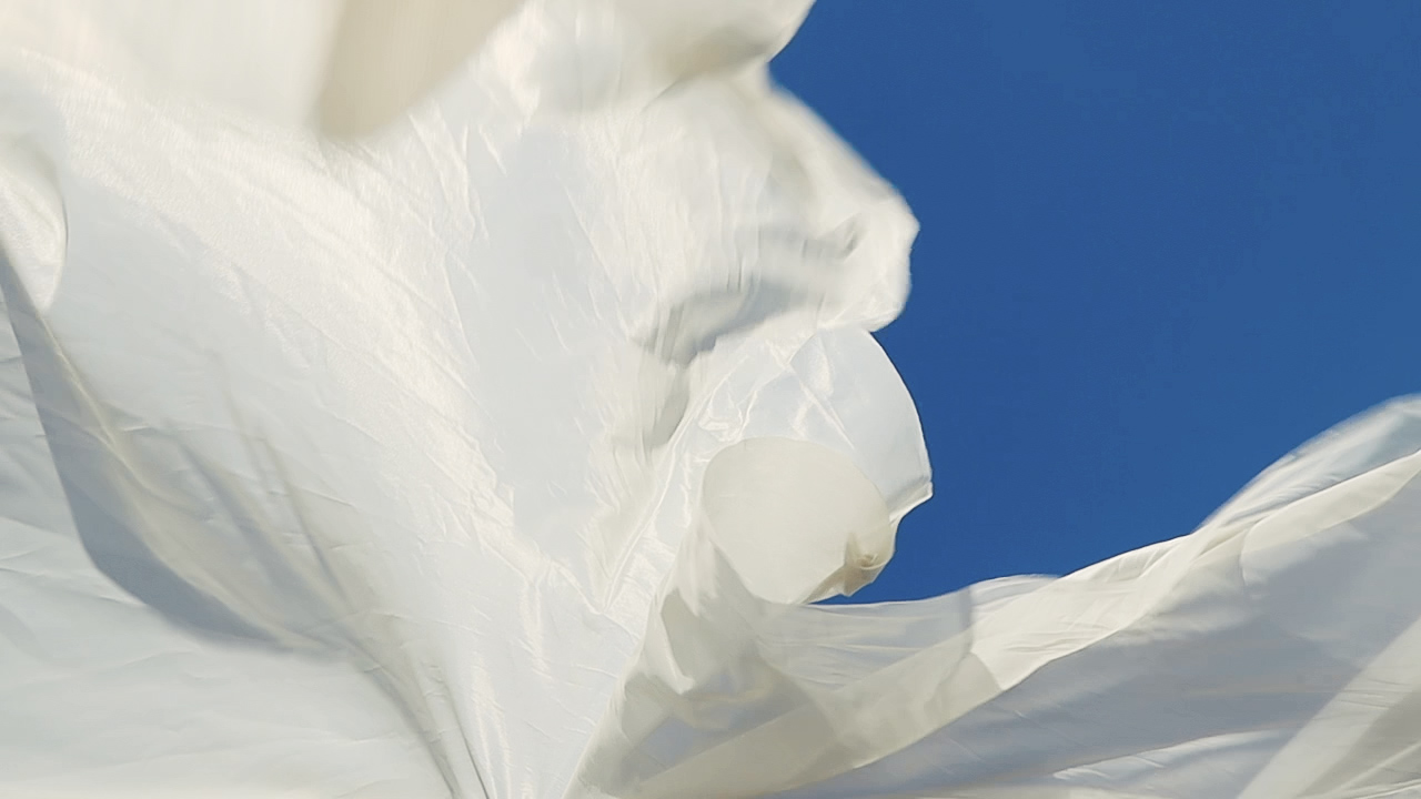 colony2139 21021カタログ