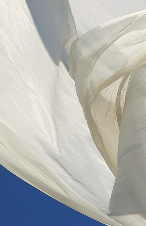 colony2139 21021カタログ