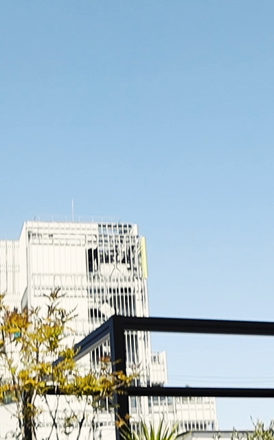 colony2139 21021カタログ