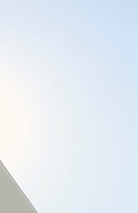 colony2139 21021カタログ