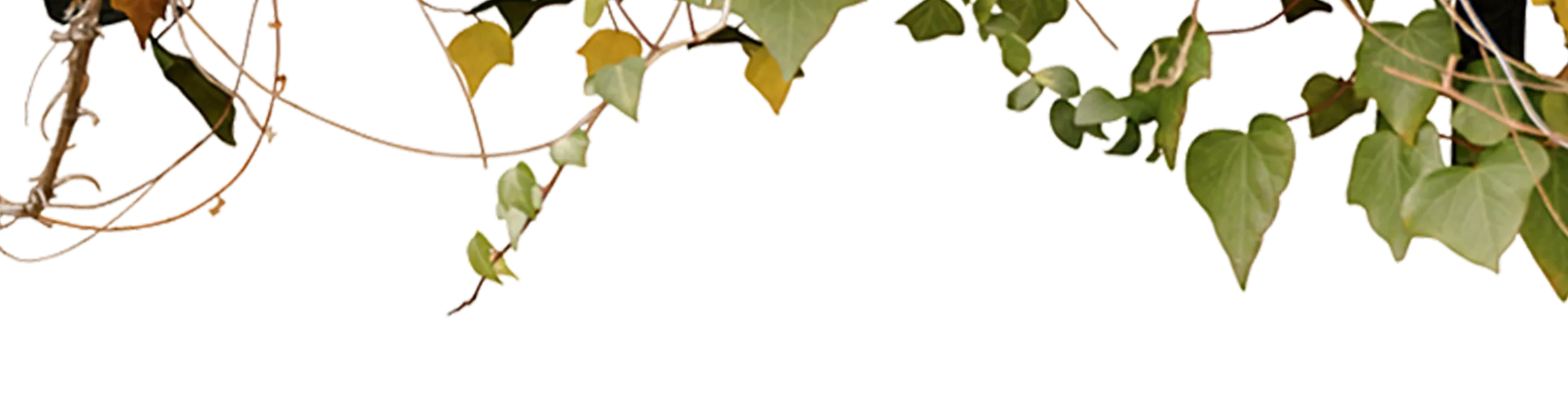 DISCOAT 26 S/S CATALOG