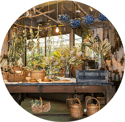 はなのいえ くるみ