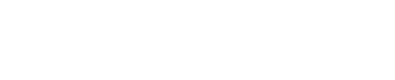 SHOP INFLUENCER