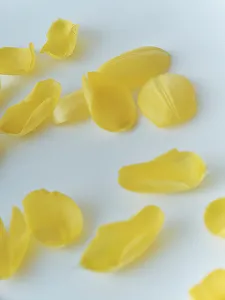 ear meets HELLO KITTY