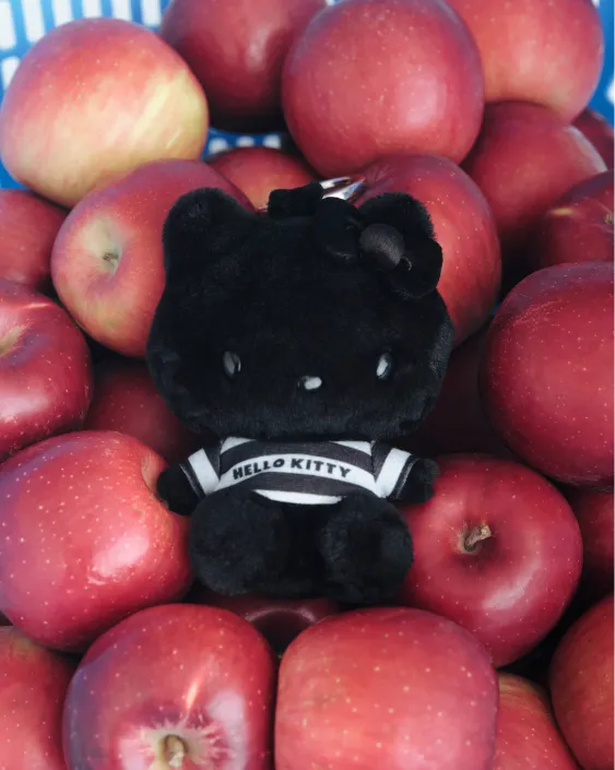 ear meets HELLO KITTY