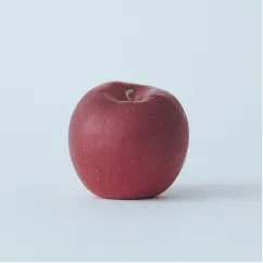 ear meets HELLO KITTY