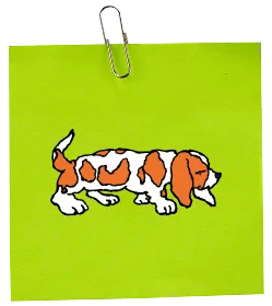 Let's Go Out WITH KEN NAKAYAMA