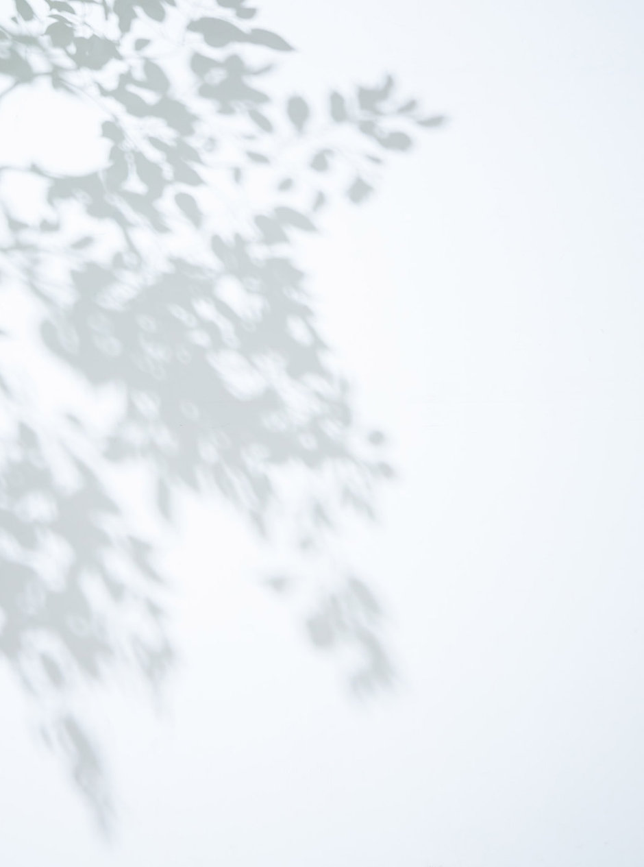 FREDY&GLOSTER 2024 SUMMER LOOK