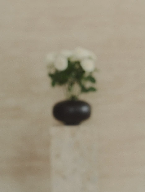 img-30