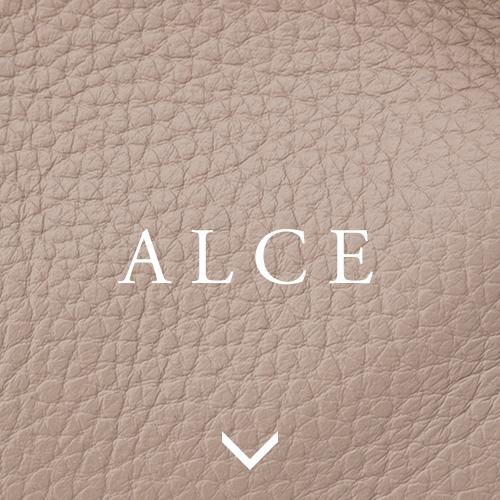IACUCCI ALCE