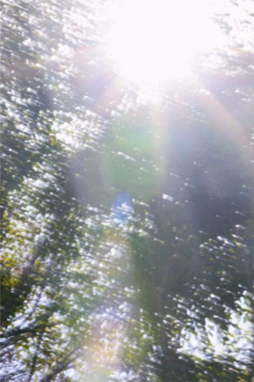 IACUCCI_2025SS_catalog