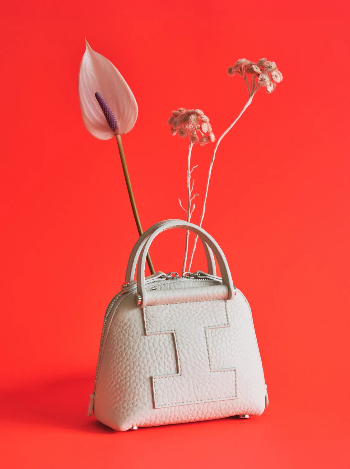 IACUCCI_2025_HOLIDAY