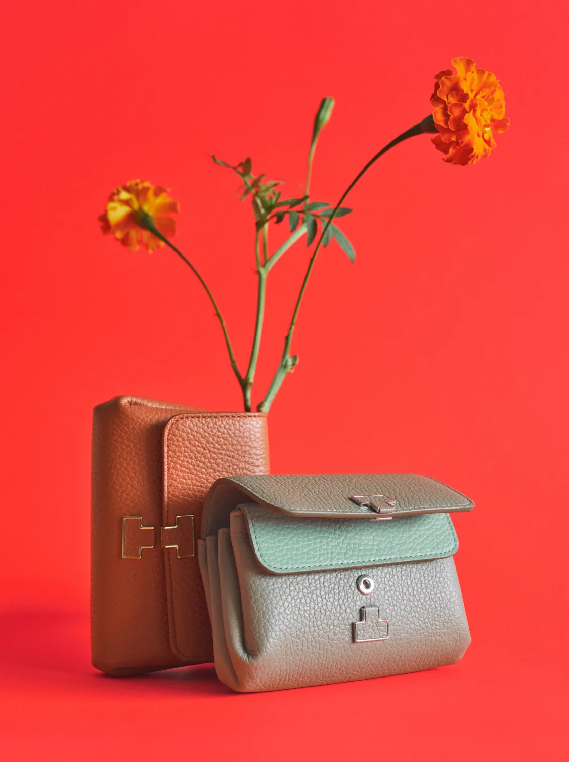 IACUCCI_2025_HOLIDAY