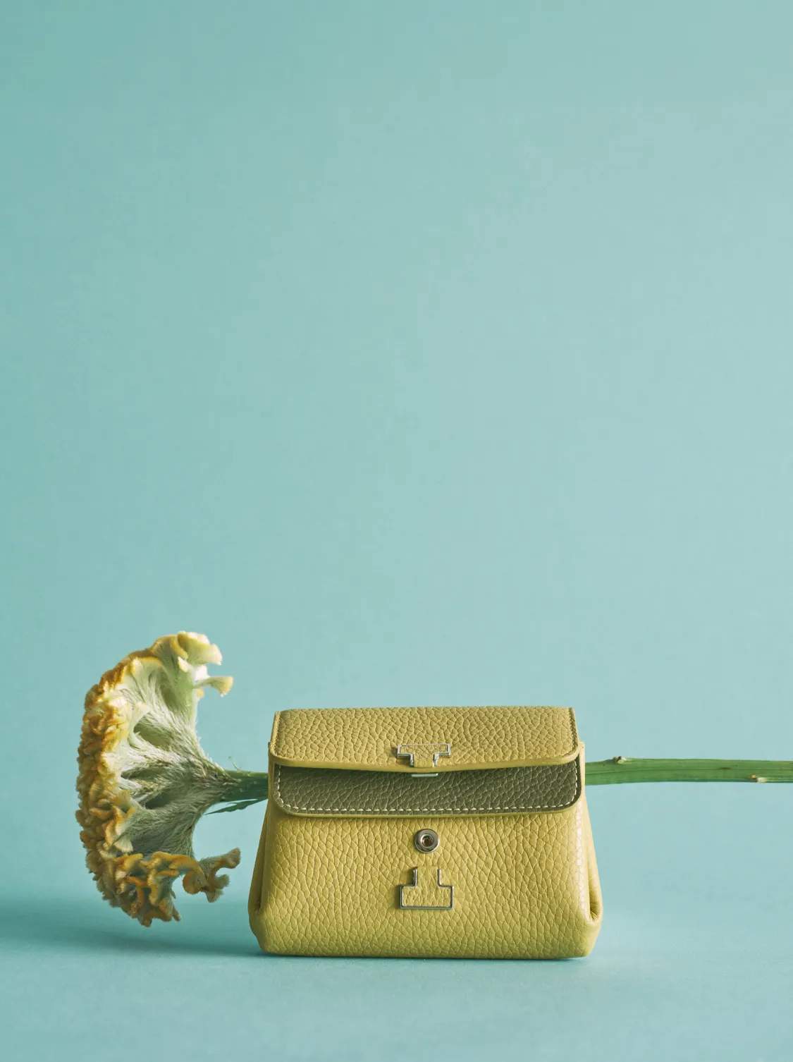 IACUCCI_2025_HOLIDAY