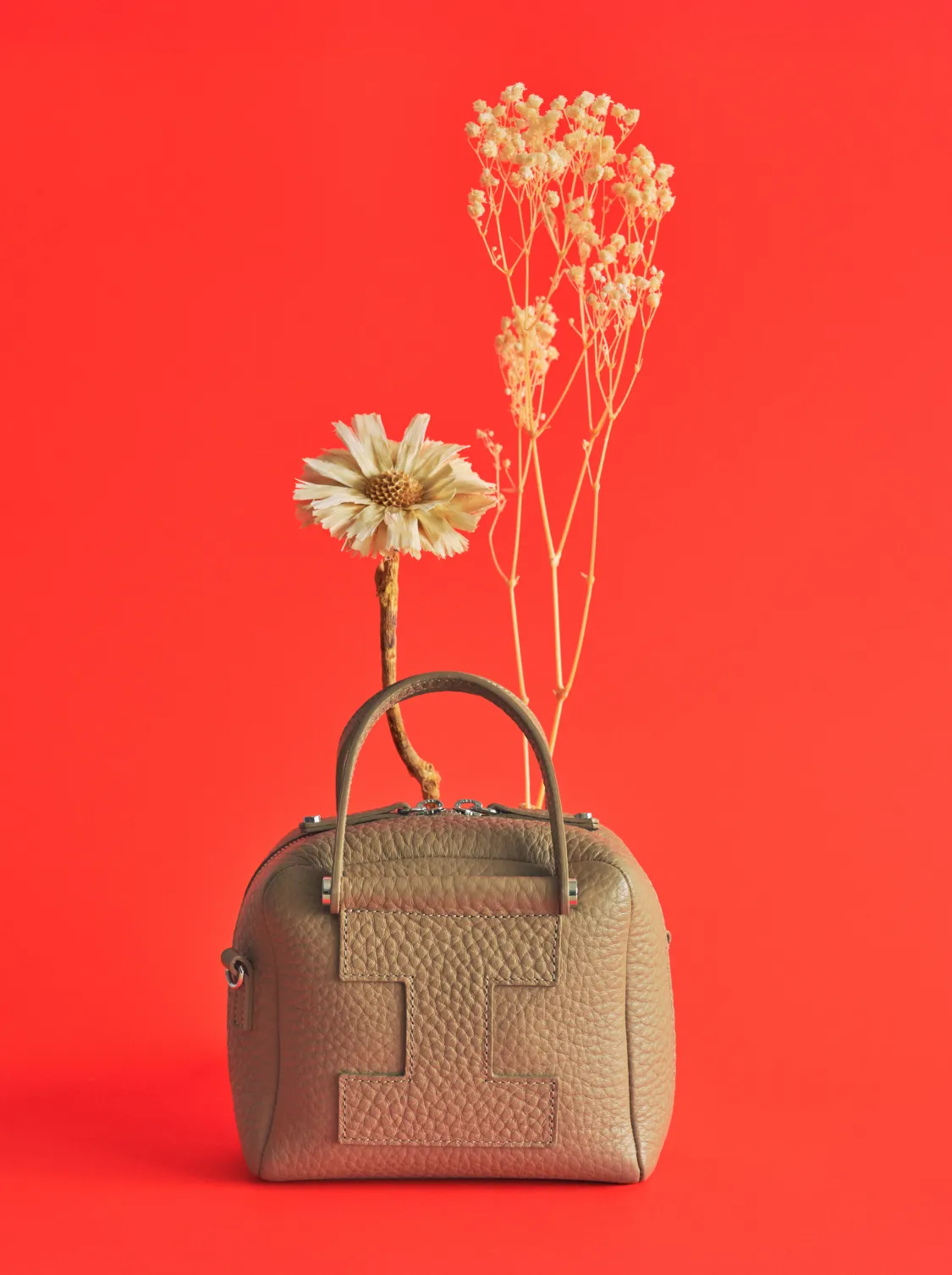 IACUCCI_2025_HOLIDAY