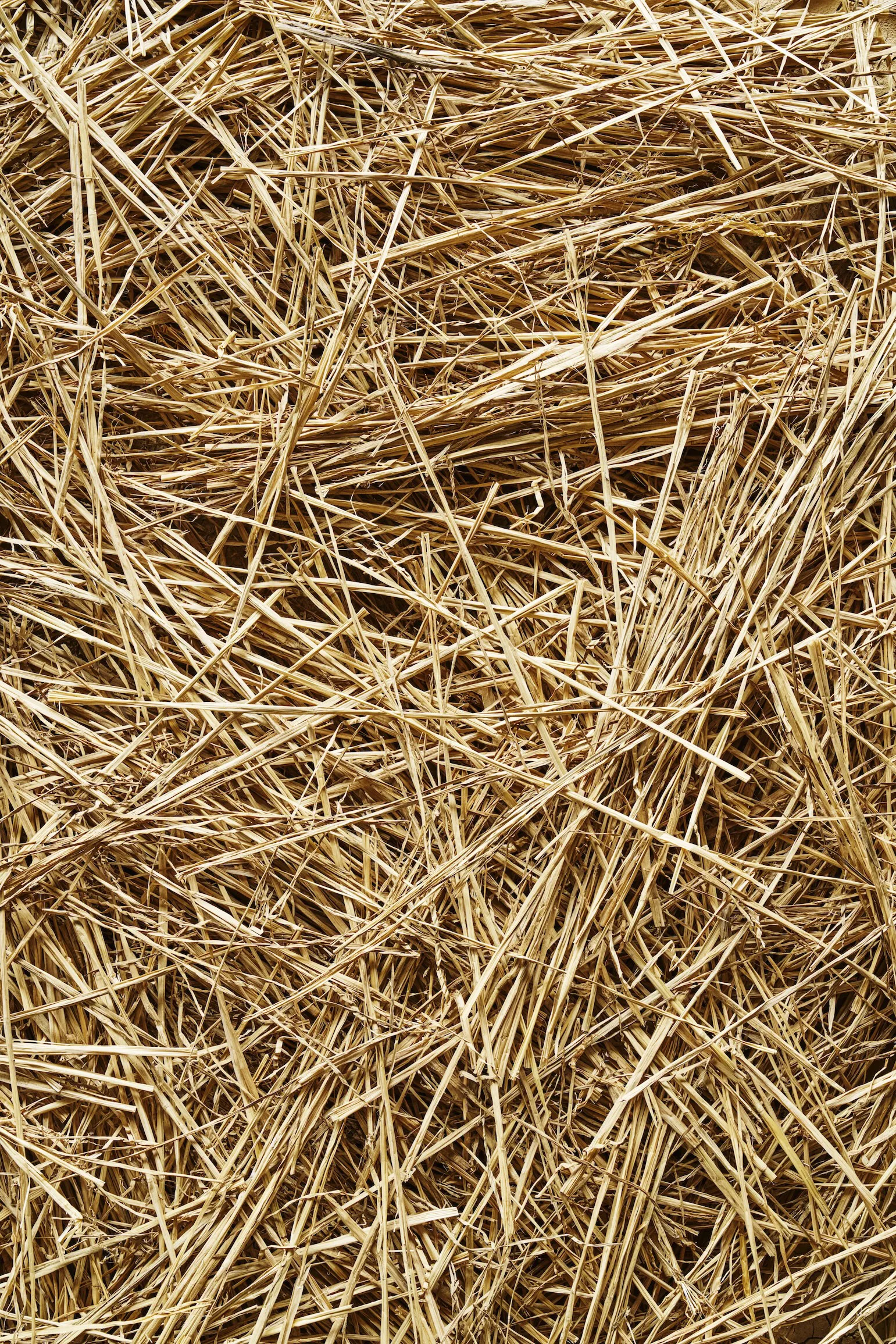 2026 SPRING SUMMER MATERIAL