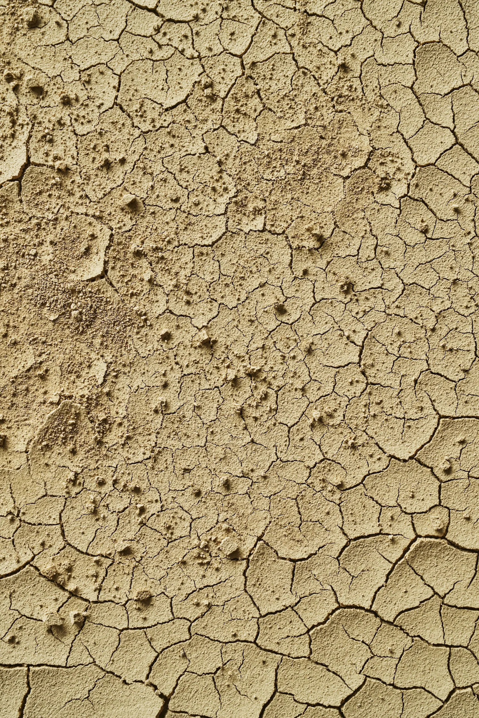 2026 SPRING SUMMER MATERIAL