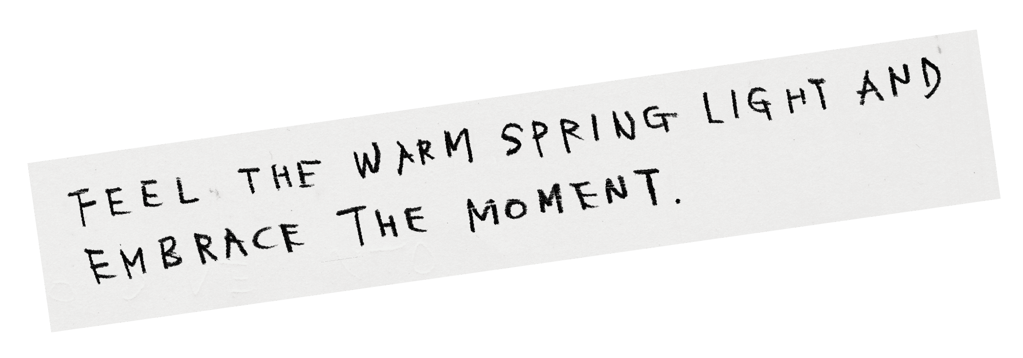 Kastane 2025 SPRING