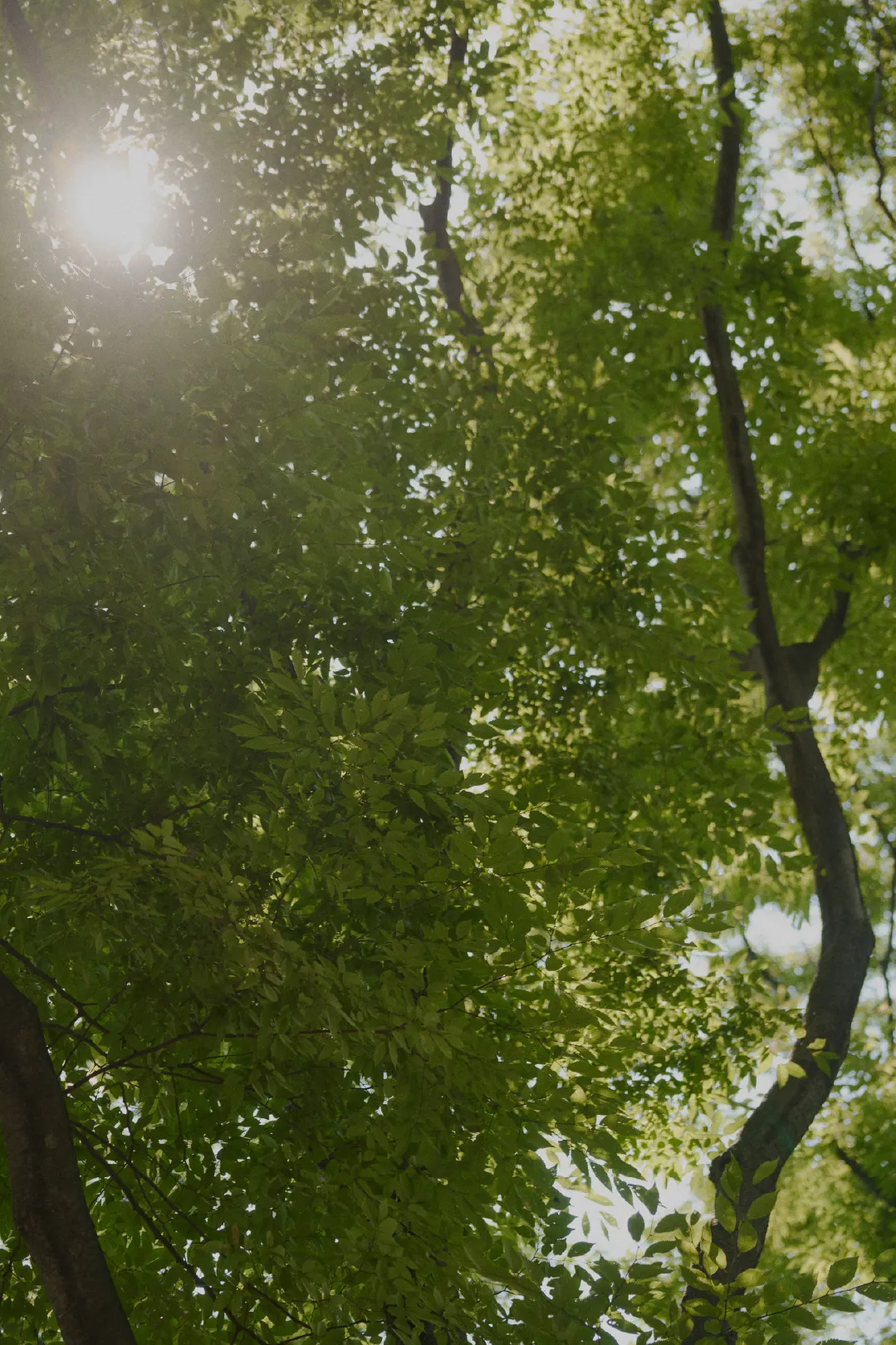 WHIMSIC_2025AUTUMN_vol2