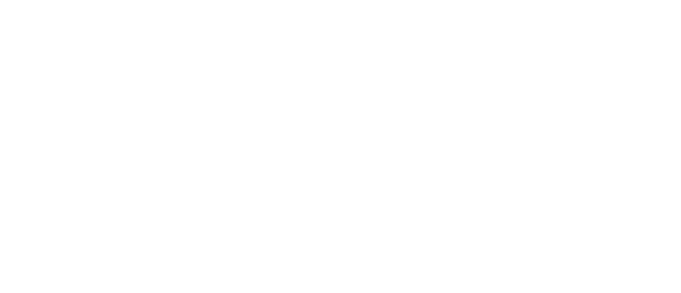 lattice_25autumn