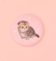 コンパクトミラー