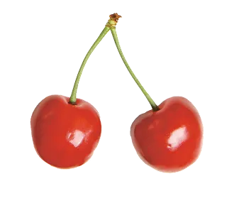 My Favorite Kawaii Things