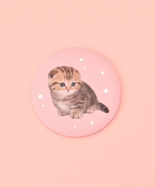 コンパクトミラー