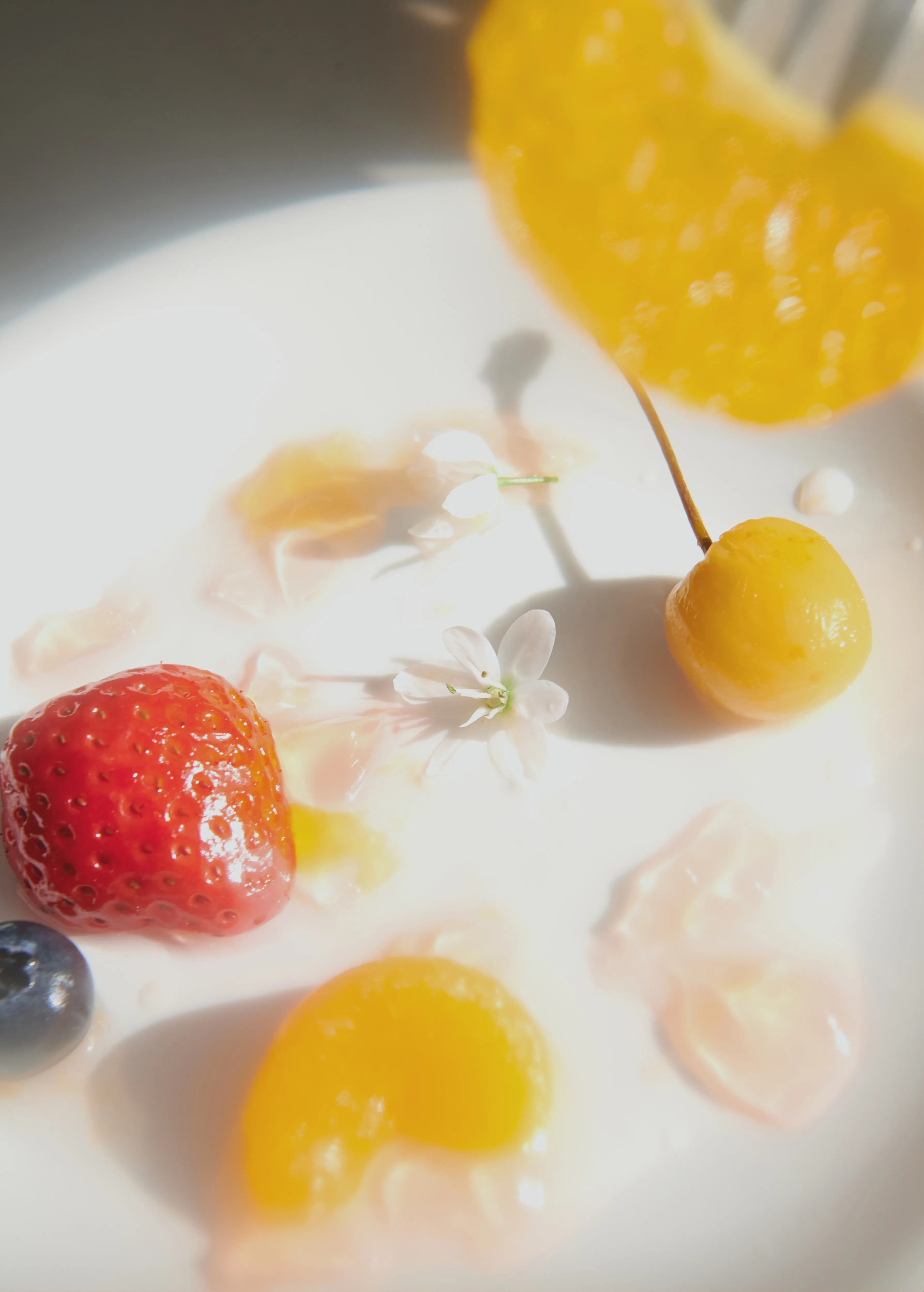 2026 SPRING COLLECTION