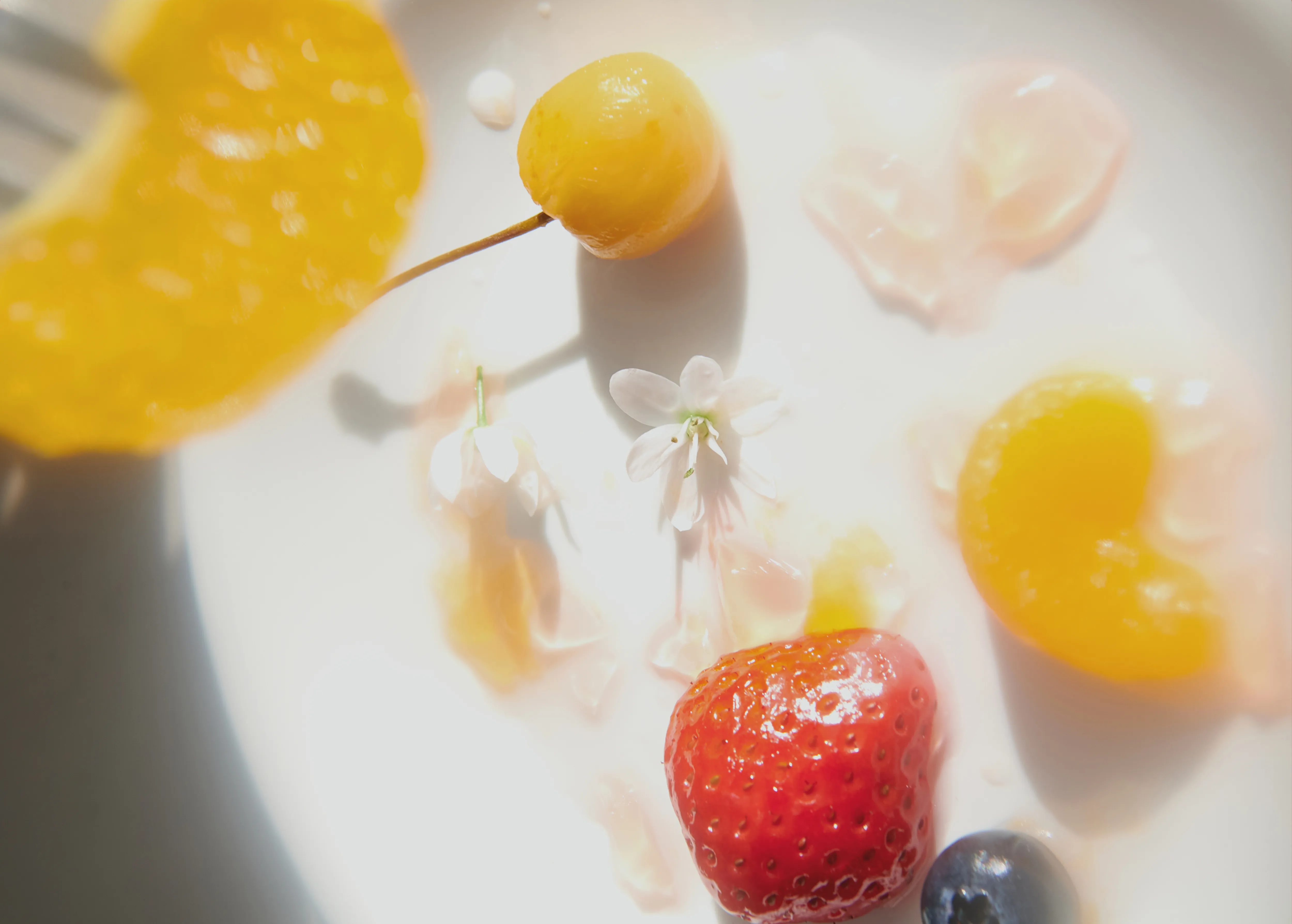 2026 SPRING COLLECTION