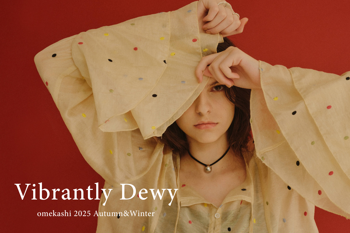 Omekashi Catalog バナー