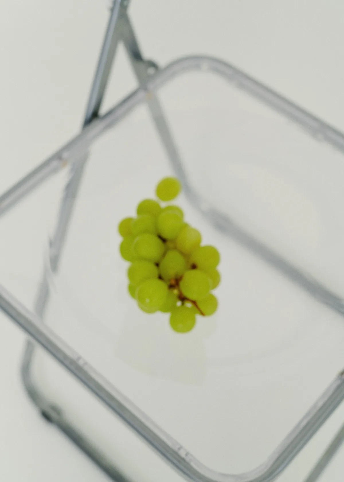 Juicy Calm 2026 spring&summer