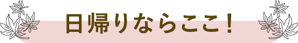 日帰りならここがおすすめ