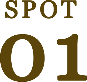 SPOT 01