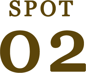 SPOT 01