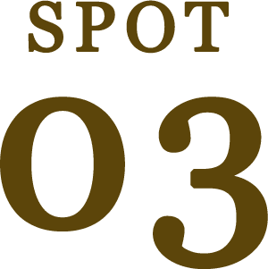 SPOT 03