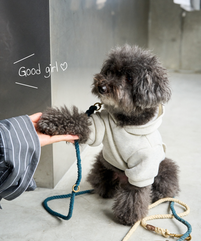 犬と歩けば| PAL CLOSET(パルクローゼット) - パルグループ公式