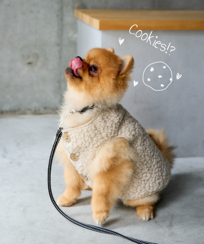 犬と歩けば| PAL CLOSET(パルクローゼット) - パルグループ公式