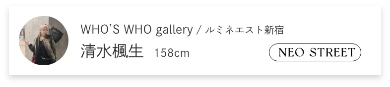ファッションテイスト画像