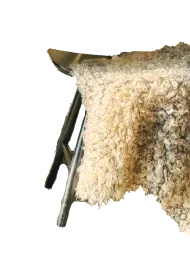 elf