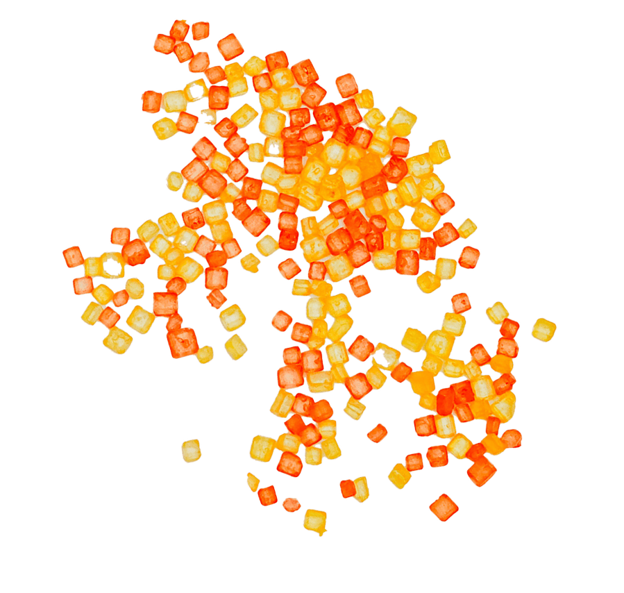 Call Me the “Picnic Girl” 川栄李奈と楽しむ春のピクニック