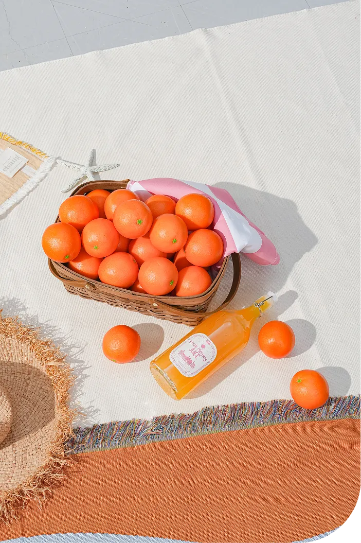 Call Me the “Picnic Girl” 川栄李奈と楽しむ春のピクニック