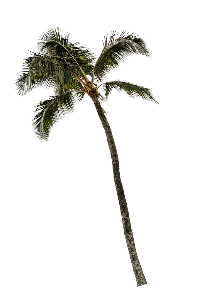 Call Me the “Picnic Girl” 川栄李奈と楽しむ春のピクニック