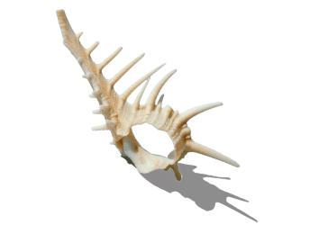 Call Me the “Picnic Girl” 川栄李奈と楽しむ春のピクニック