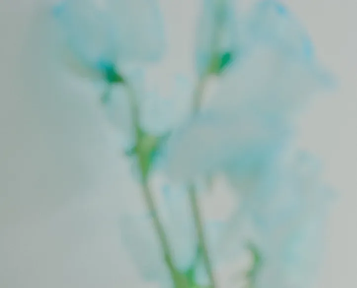 春のトレンド5キーワード